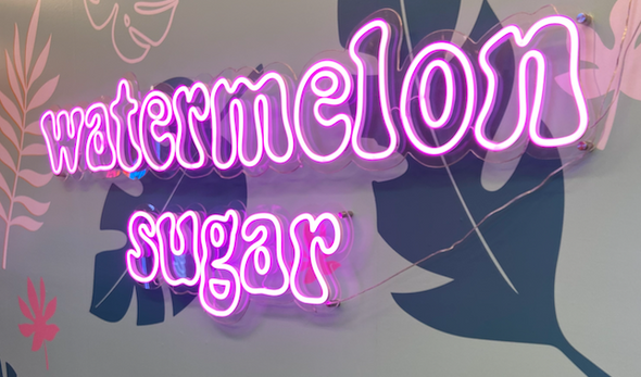 Watermelon Sugar LED neon sign